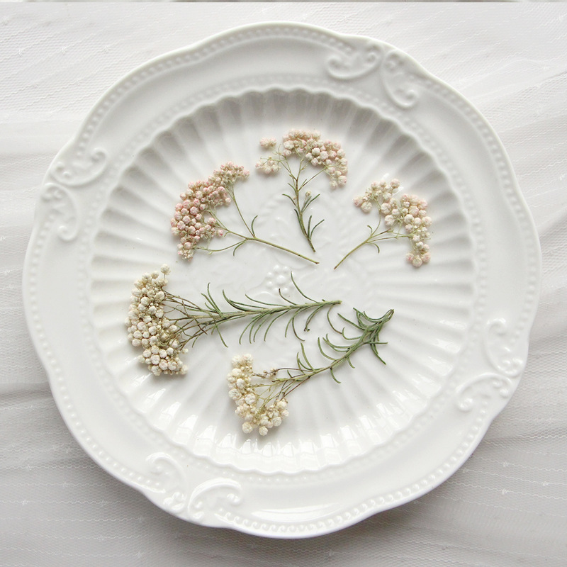 12pcs,Nature Millet flower bra - đánh giá và giá Dried Flower Bookmark
