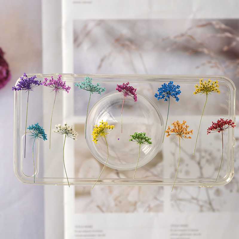 48Pcs Vibrant Colored Small Sn - đánh giá và giá Dried Flower Bookmark