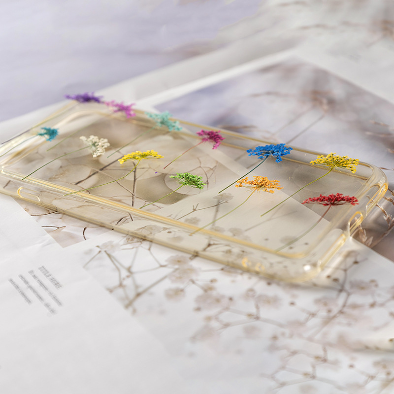 48Pcs Vibrant Colored Small Sn - đánh giá và giá Dried Flower Bookmark